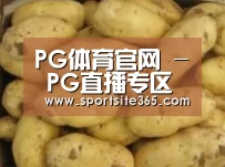 产品展示标题6