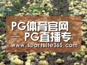 种植基地七