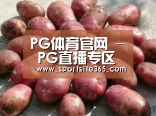 产品展示标题5