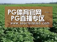 种植基地五