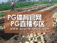 种植基地八