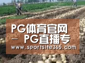 种植基地七(图1)