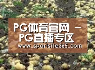 种植基地八(图1)
