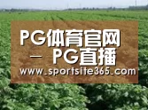 种植基地五(图1)