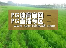 种植基地四