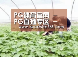 种植基地三