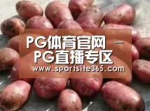 产品展示标题5(图1)