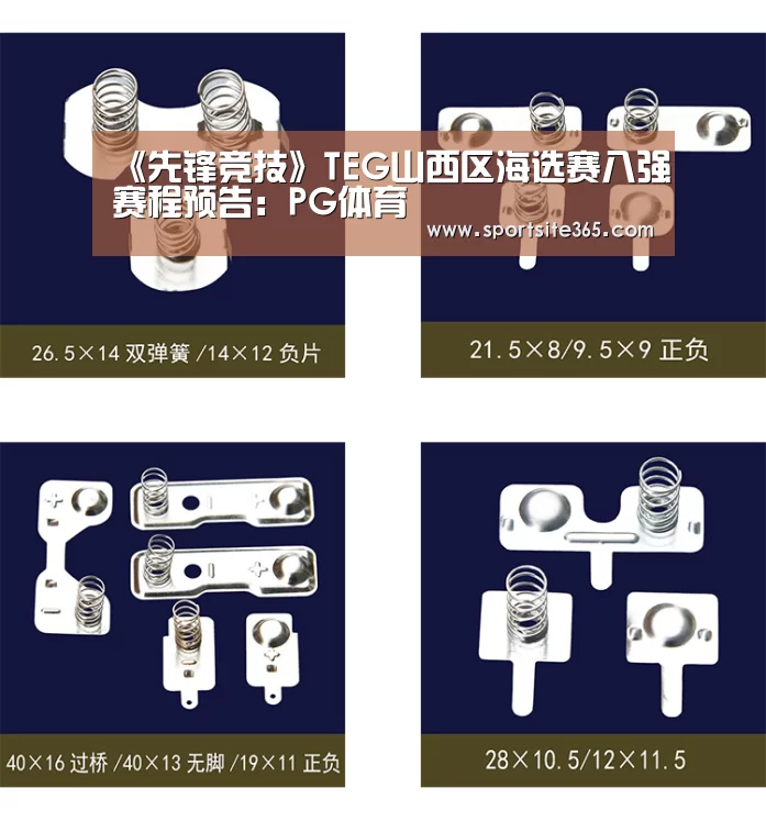 《先锋竞技》TEG山西区海选赛八强赛程预告:PG体育(图2) PG专区