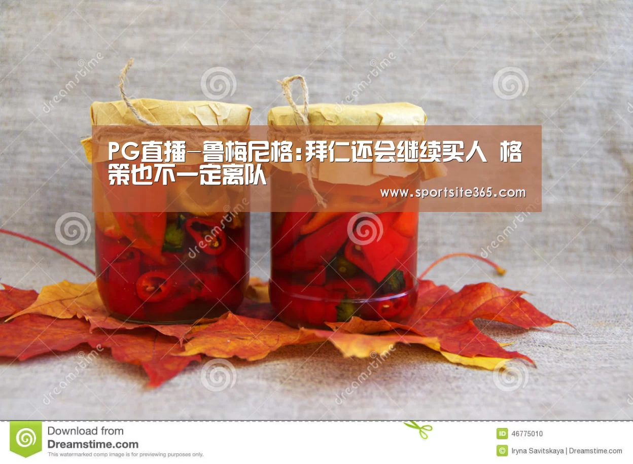 PG直播-鲁梅尼格:拜仁还会继续买人 格策也不一定离队(图3) PG体育