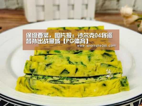 PG导航