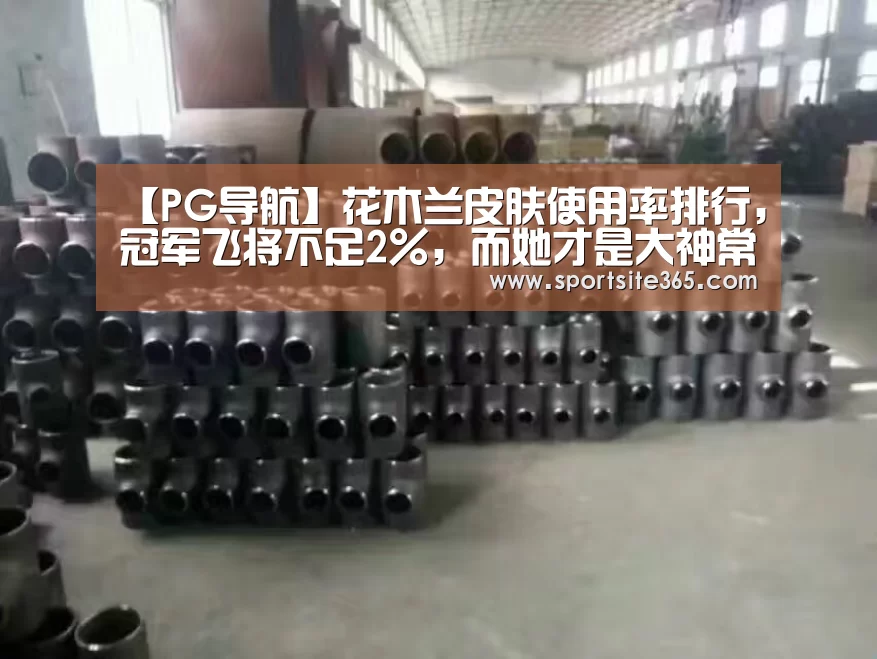 【PG导航】花木兰皮肤使用率排行,冠军飞将不足2%,而她才是大神常用的皮肤(图1) PG专区