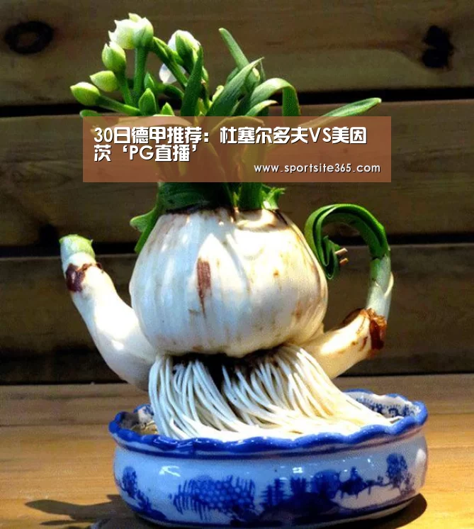 30日德甲推荐:杜塞尔多夫VS美因茨‘PG直播’(图1) PG导航