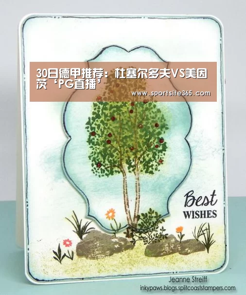 30日德甲推荐:杜塞尔多夫VS美因茨‘PG直播’(图2) PG导航