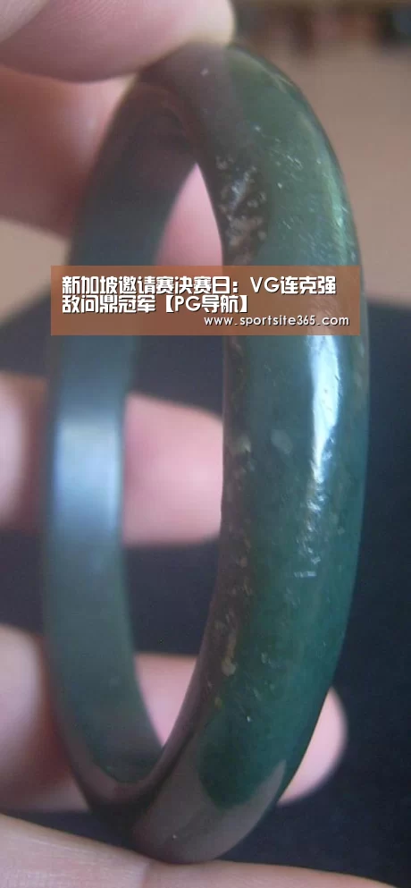 新加坡邀请赛决赛日:VG连克强敌问鼎冠军【PG导航】(图1) PG专区